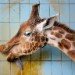Giraffe 060310_4